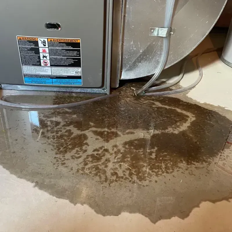 Appliance Leak Cleanup in Sumrall, MS